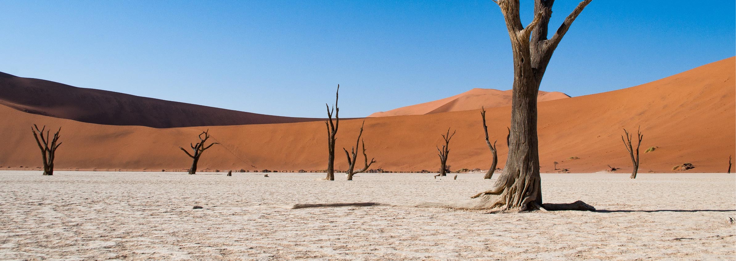 Sossusvlei - Erklimme die höchsten Dünen der Welt zu Fuß
