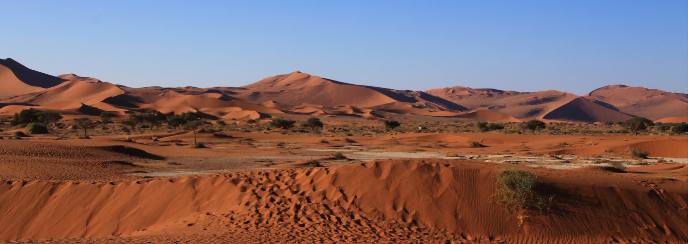 Namib Naukluft Nationalpark - Camping & Schatzsuche in der Wüste