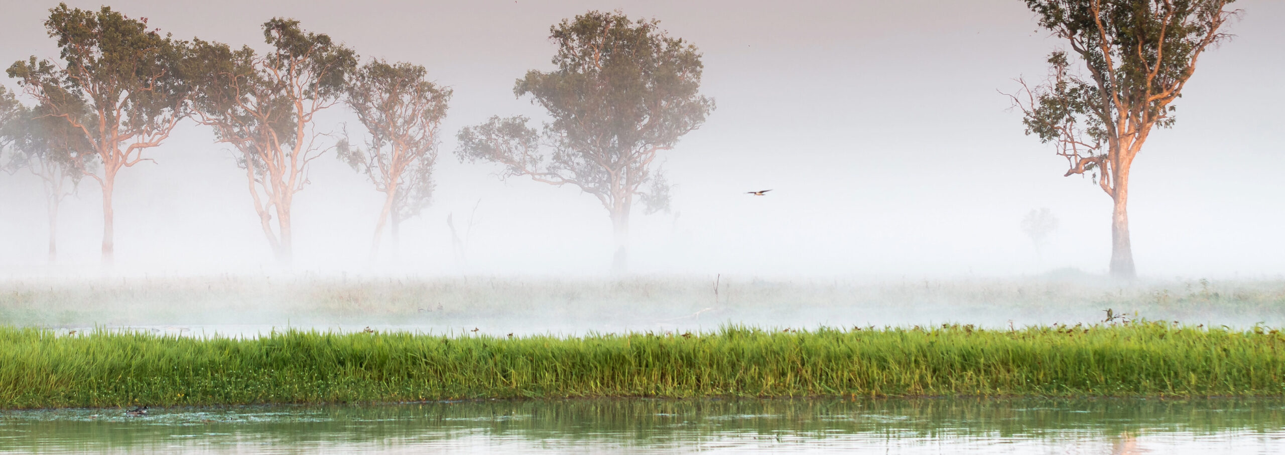 Kakadu Nationalpark - Gigantische Krokodile und eine exotische Vogelwelt