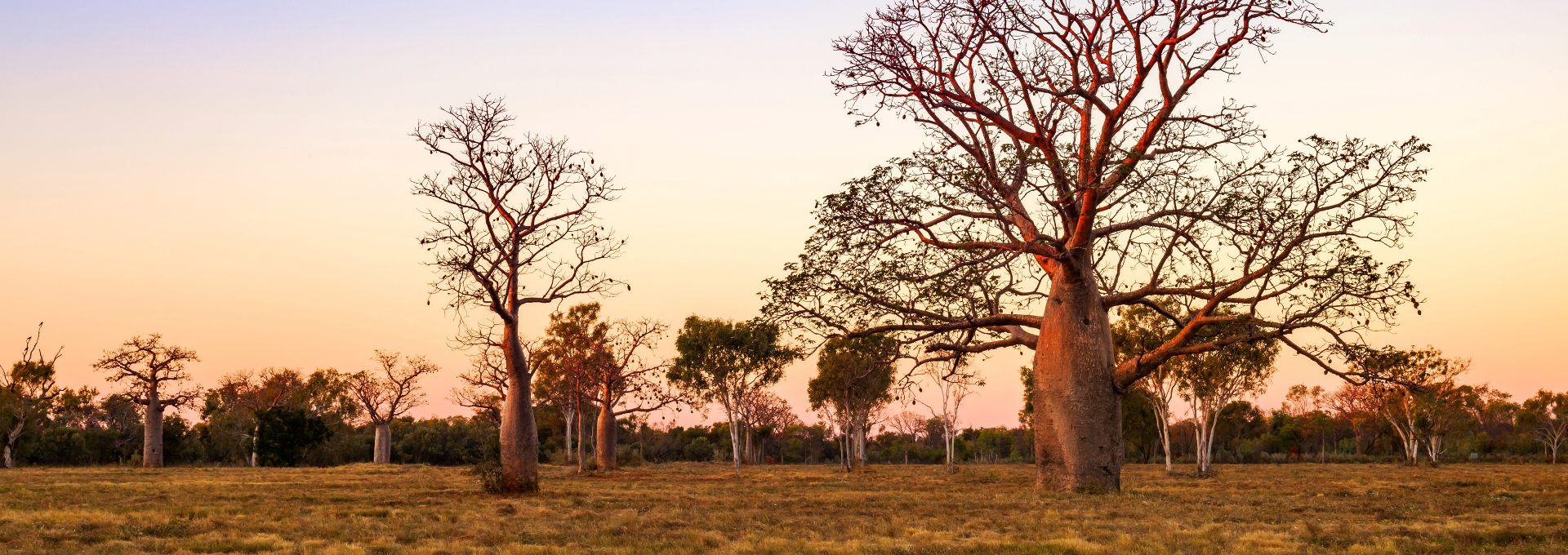 Derby - Bucket List Erlebnis